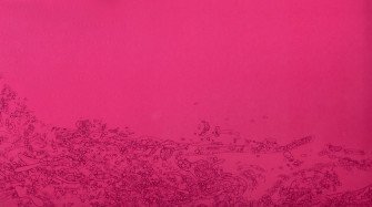 Pink HD  Hd Wallpaper Free